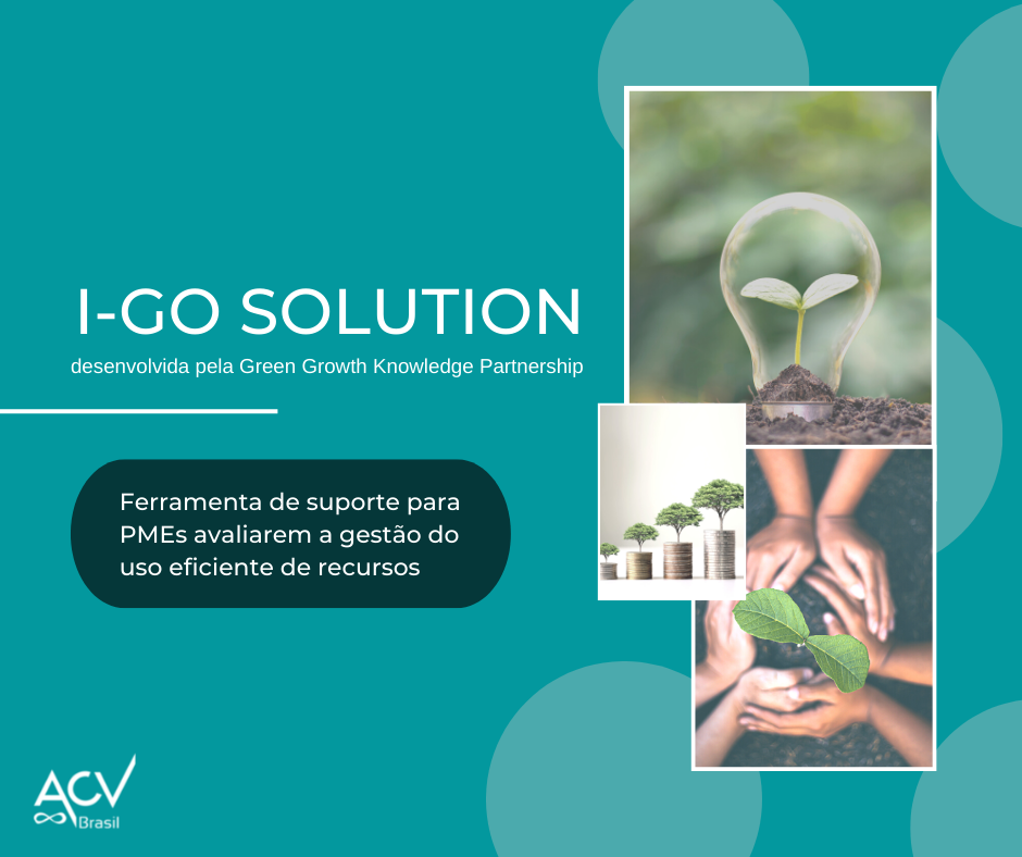 I-GO Solution: ferramenta de suporte para PMEs avaliarem a gestão do uso eficiente de recursos
