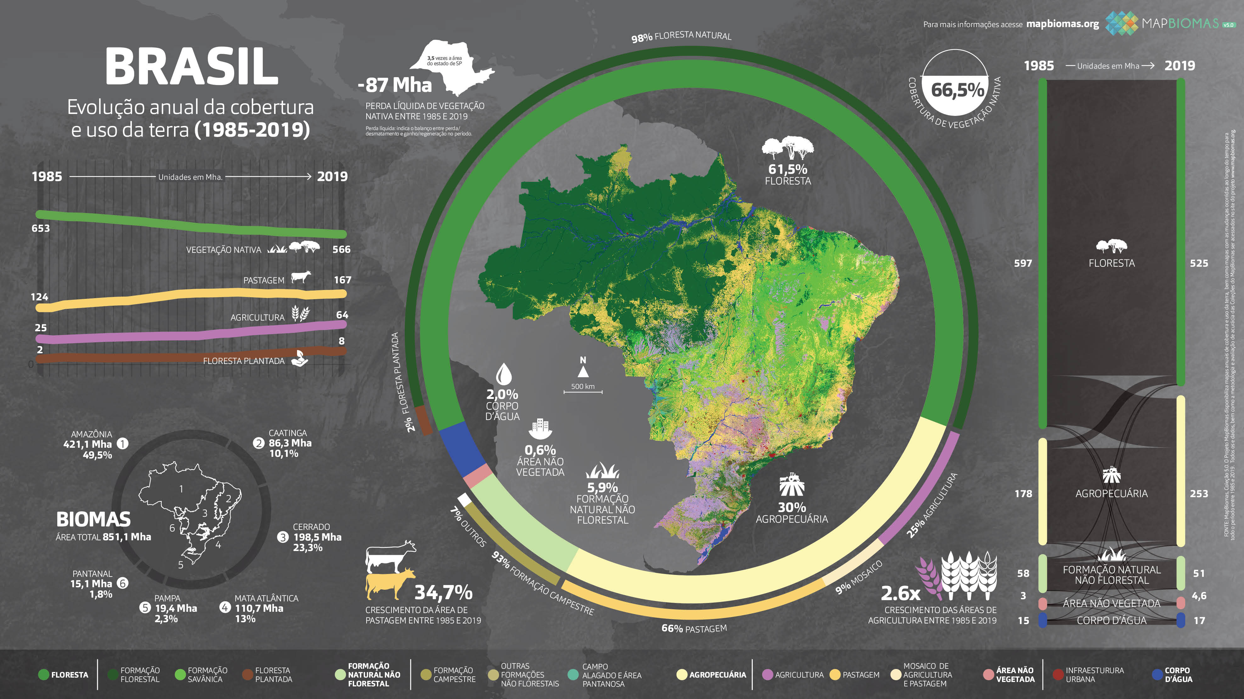 MapBiomas: a máquina do tempo da cobertura e uso do solo no Brasil